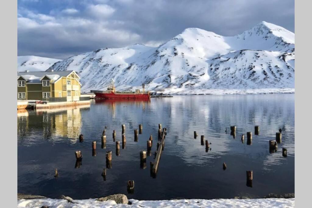 Siglufjordur House With A Warm Soul In North Iceland מראה חיצוני תמונה