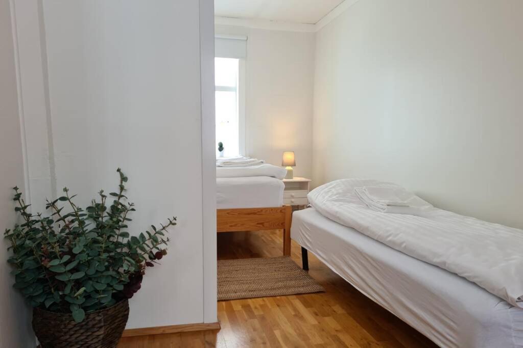 Siglufjordur House With A Warm Soul In North Iceland מראה חיצוני תמונה